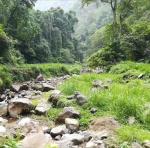 Camino a Madarikapura