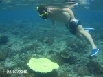 Coral Gili Air