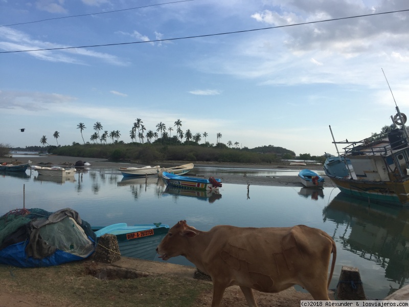 Viaje Sri Lanka 2017 - Blogs de Sri Lanka - Dia 6 Trincomalee (2)