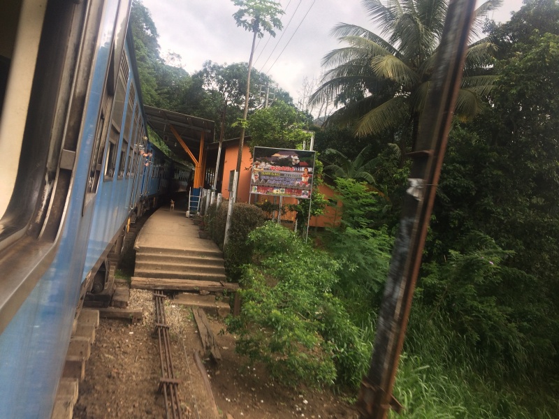 Viaje Sri Lanka 2017 - Blogs de Sri Lanka - Dia 2 Kandy (1)