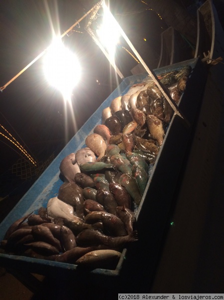 pescaito
mmmmm
