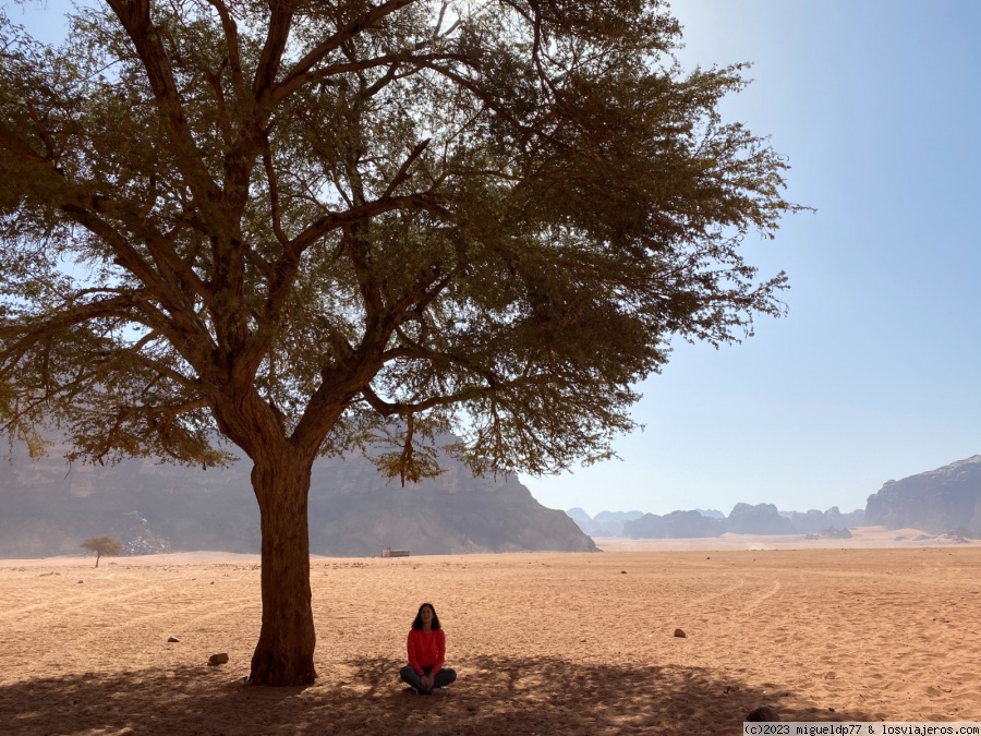 Día 5 Desierto de Wadi Rum (mañana) - Jordania en fotos: 1 semana por libre 2023 (1)