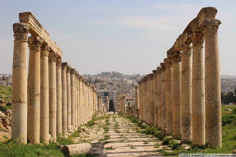 Día 2 Jerash (Gerasa) por la mañana - Jordania en fotos: 1 semana por libre 2023 (6)