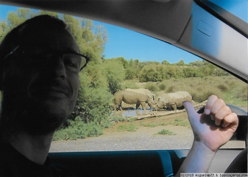 Día 13 Nimes y Safari Sigean (Francia) - Desde Málaga a Suiza en coche con niños (5)