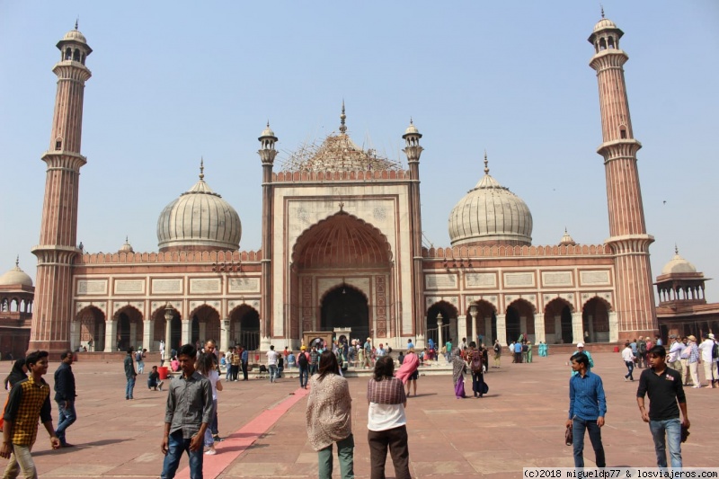 Delhi, Jaipur, Amber, Fatehpur Sikri, Agra y de regalo Moscú 2018 - Blogs de India - Dia 3 Delhi (1)