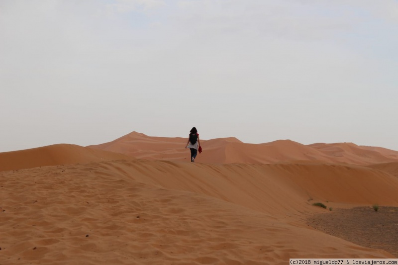 Marrakech, desierto 4x4, Ait Ben Haddou, Fez y más - Blogs de Marruecos - Día 6 4x4 al desierto y paseo en camello (1)