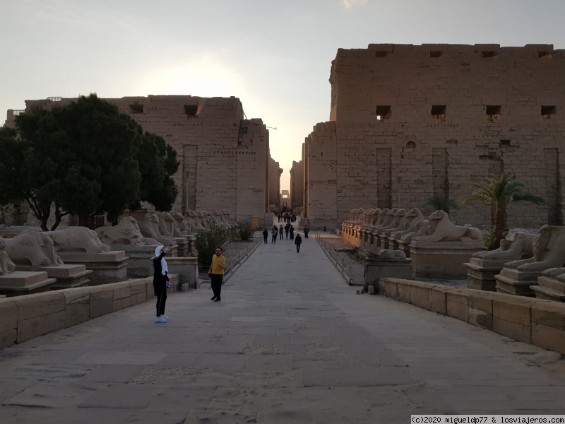 Egipto en fotos: Crucero Nilo + El Cairo - Blogs de Egipto - Día 2 Templo de Amón-Ra en Karnak (1)
