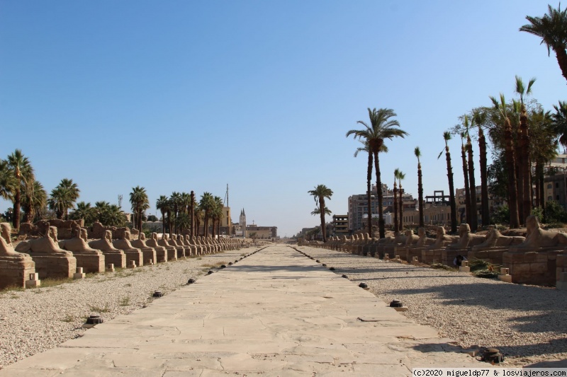 Día 2 Templo de Lúxor - Egipto en fotos: Crucero Nilo + El Cairo (3)