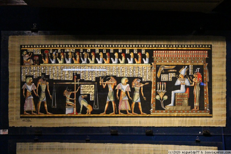 Día 5 Papiros y algodón egipcio. Vuelo interno - Egipto en fotos: Crucero Nilo + El Cairo (3)