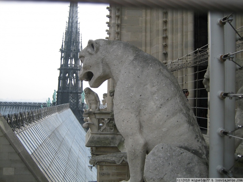 7 días en París (con Versalles) y 2 en Disney - Blogs de Francia - Día 2 Notre Dame, Sainte Chapelle, Conciergerie, Torre Eiffel y barco por Sena (2)