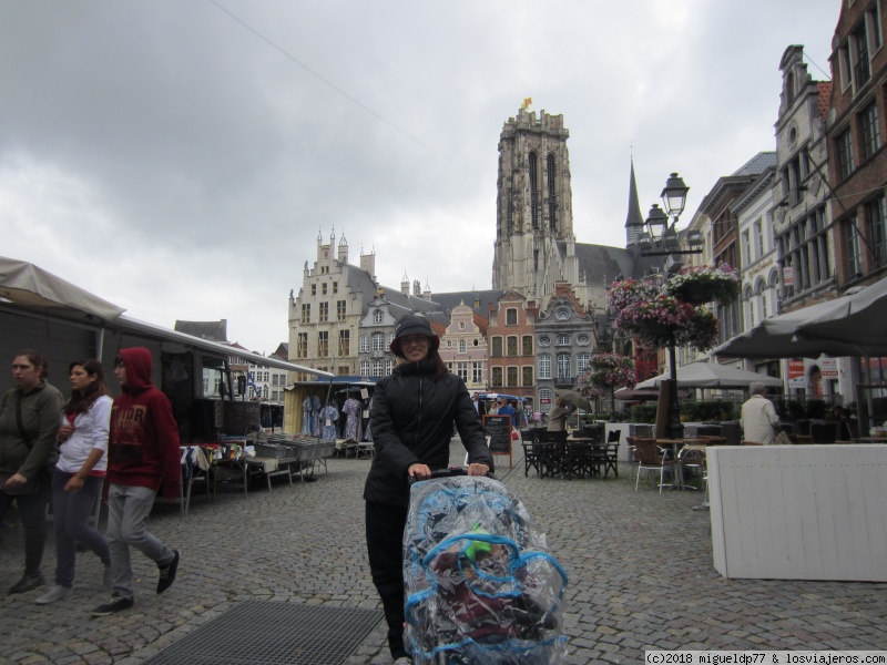 Día 4 Mechelen y Amberes (Bélgica) - Castillos del Loira, Brujas, Gante, Bruselas, Amsterdam... con niños (2)