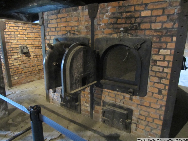 Cracovia, Varsovia, Auschwitz y Minas de sal de Wieliczka - Blogs de Polonia - Día 4 Auschwitz y barrio judío (Cracovia) (1)