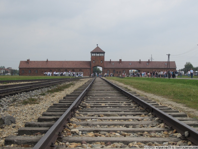 Día 4 Auschwitz y barrio judío (Cracovia) - Cracovia, Varsovia, Auschwitz y Minas de sal de Wieliczka (3)
