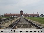 Via del tren - Auschwitz
Via del tren - Auschwitz
