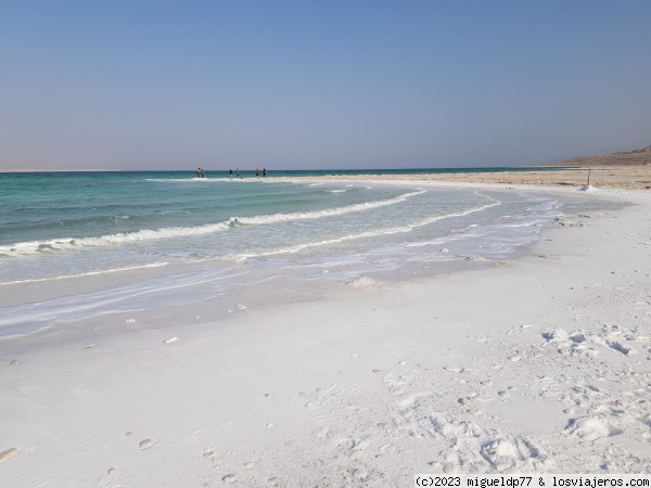 Wild Salt Beach
Wild Salt Beach
