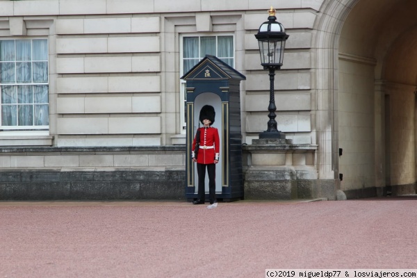 Guardia Real del Palacio de Buckingham
Guardia Real del Palacio de Buckingham
