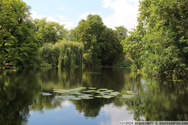 Lago del Worcester College - Oxford
Lago del Worcester College - Oxford
