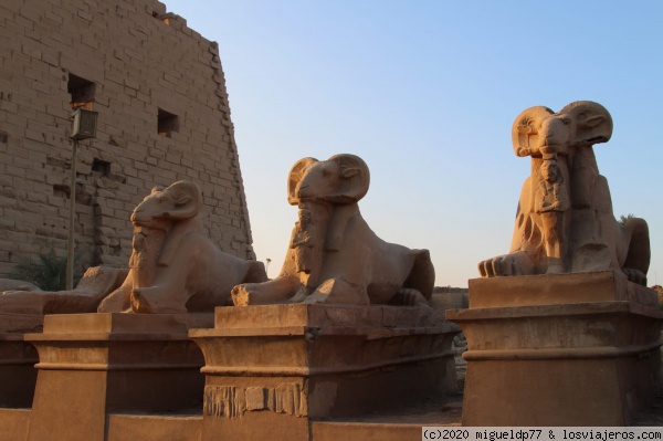 Esculturas a la entrada del Templo de Karnak
Esculturas a la entrada del Templo de Karnak
