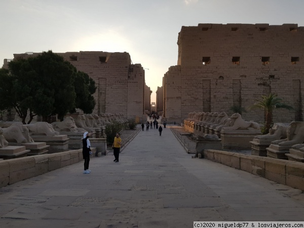 Fachada del templo de Karnak
Fachada del templo de Karnak
