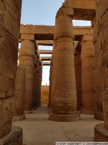 Columnas del Templo de Karnak
Columnas del Templo de Karnak
