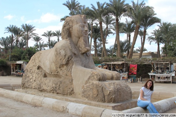 Esfinge de alabastro en Menphis
Esfinge de alabastro en Menphis
