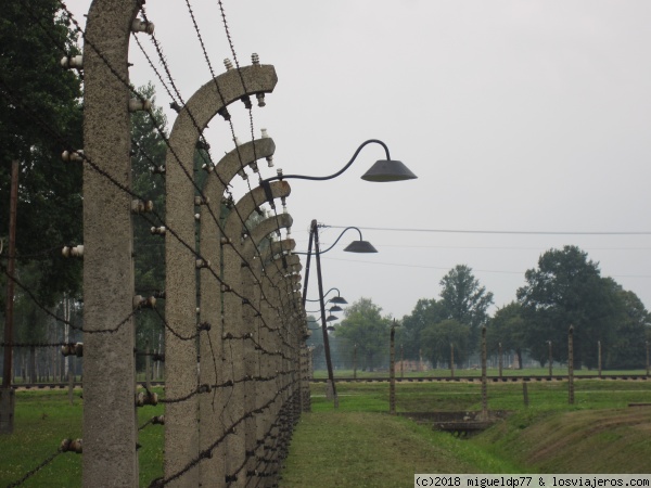 Alambrada - Auschwitz Birkenau
Alambrada - Auschwitz Birkenau
