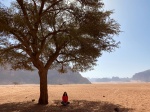 Árbol junto a Lawrence Spring