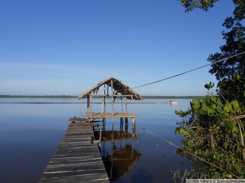 24 horas de viaje para llegar al paraiso - Viaje al Delta... El Delta del Orinoco (1)