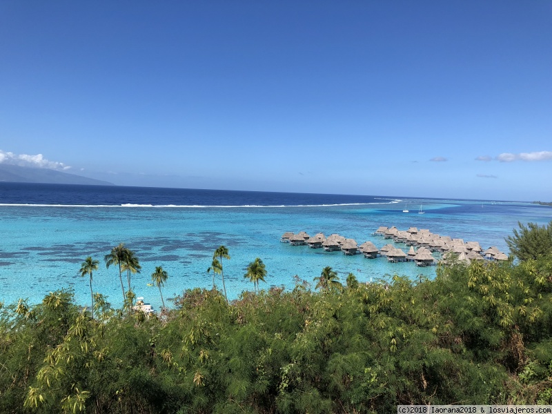 ETAPA 3: MOOREA, 12-15 JULIO - POLINESIA FRANCESA, JULIO 2018: Tahití, Bora Bora y Moorea. (1)