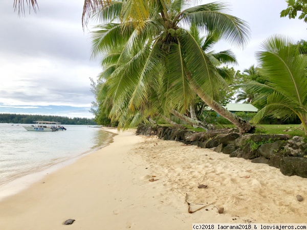 Playa en Hauru, Moorea.
Playa en Hauru, Moorea.
