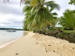 Playa en Hauru, Moorea.
Playa, Hauru, Moorea