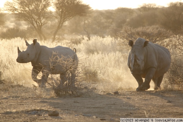 6 y 7 de agosto. De Etosha a Otjiwa - Namibia, Cataratas Victoria (Zimbabue) y Sudáfrica (3)