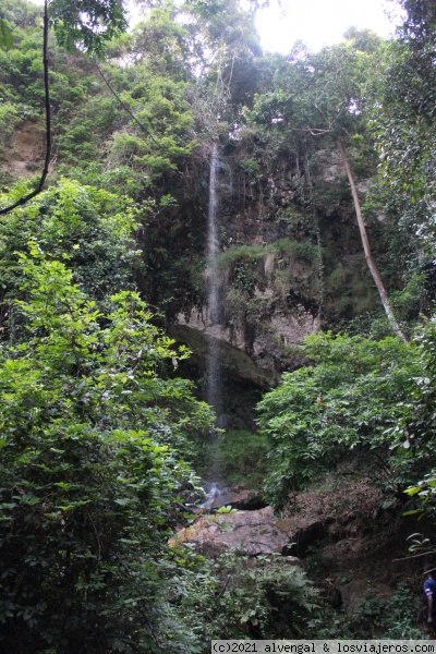 Cascada gombe
Cascada de 28m en Gombe NP
