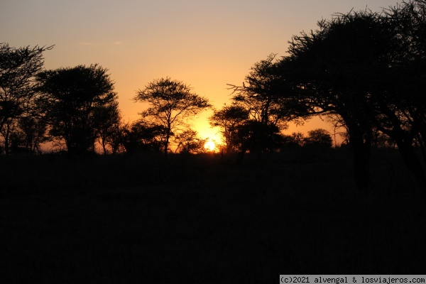 14 de Octubre. Serengeti - Tanzania - Gombe NP, Mafia y safaris del norte (4)