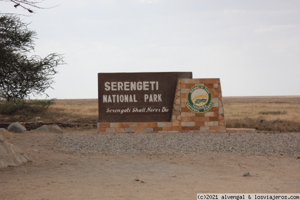 14 de Octubre. Serengeti - Tanzania - Gombe NP, Mafia y safaris del norte (1)