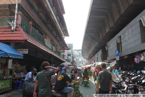 Indonesia - Borneo, Papúa y Java central - Blogs de Indonesia - 24 de julio. Día en Yakarta (2)