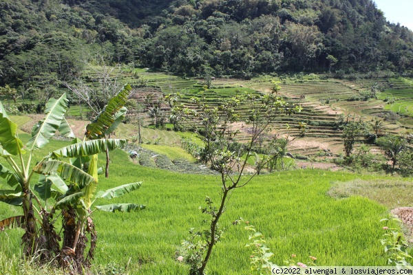 8 y 9 de agosto. Candi Selogriyo y llegada a Semarang - Indonesia - Borneo, Papúa y Java central (1)