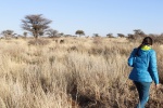 Rhino tracking en Otjiwa
Rhino, Otjiwa, tracking