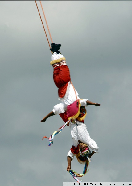 VOLADORES DE PAPLANTA
Gente con un estómago de acero.
