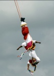 VOLADORES DE PAPLANTA
VOLADORES, PAPLANTA, Gente, estómago, acero