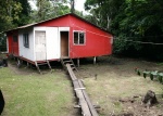 VIVIENDA TIPICA
VIVIENDA, TIPICA, Casita, Tortuguero, residente, local