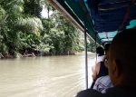 Lancha hacia Tortuguero
Lancha, Tortuguero, Transporte, hacia, usan, locales