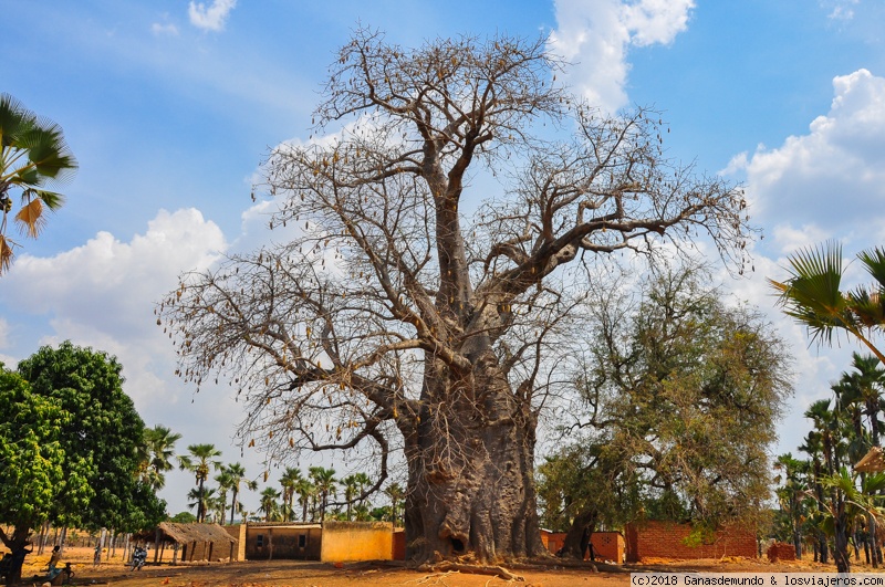 11 DIAS DE MOCHILERO POR BURKINA FASO MARZO 2017 - Blogs de Burkina Faso - Toumousseni y Tengrela (1)