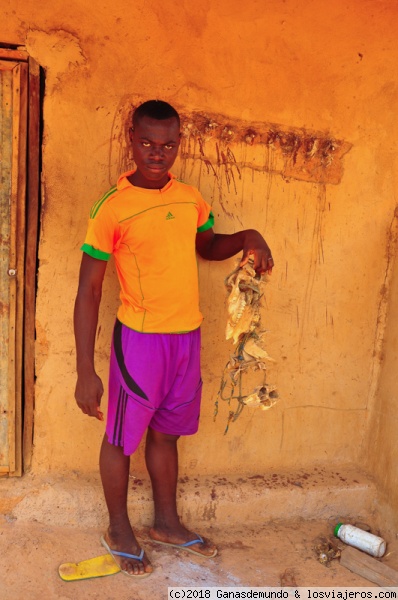 Hijo del guardián del baobab
Hijo del guardián del baobab
