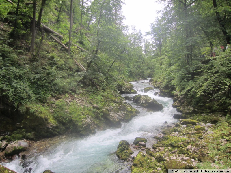 6 días en Eslovenia: Alpes Julianos y Ljubliana - Blogs de Eslovenia - Día 2: Garganta Vintgar y castillo. (2)
