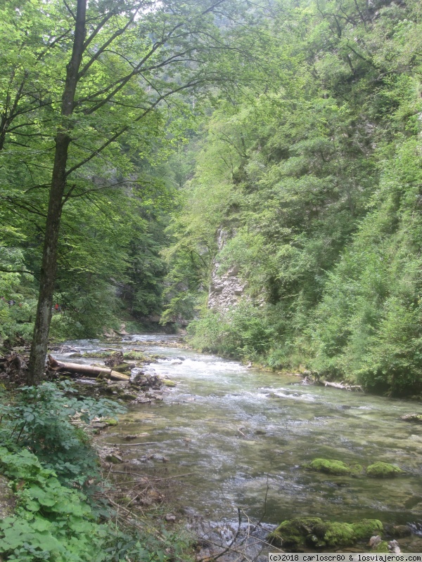 6 días en Eslovenia: Alpes Julianos y Ljubliana - Blogs de Eslovenia - Día 2: Garganta Vintgar y castillo. (1)