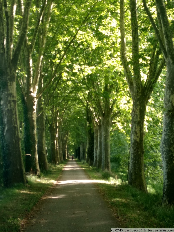 De Burdeos a Montpellier en bici - Blogs de Francia - Introducción (2)