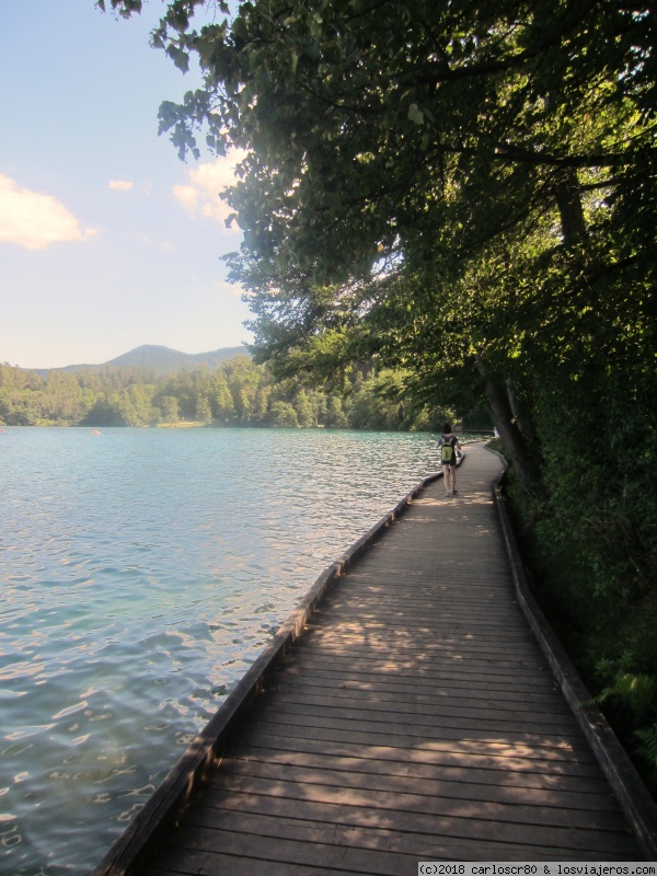6 días en Eslovenia: Alpes Julianos y Ljubliana - Blogs de Eslovenia - Día 3: Lago Bled. (3)