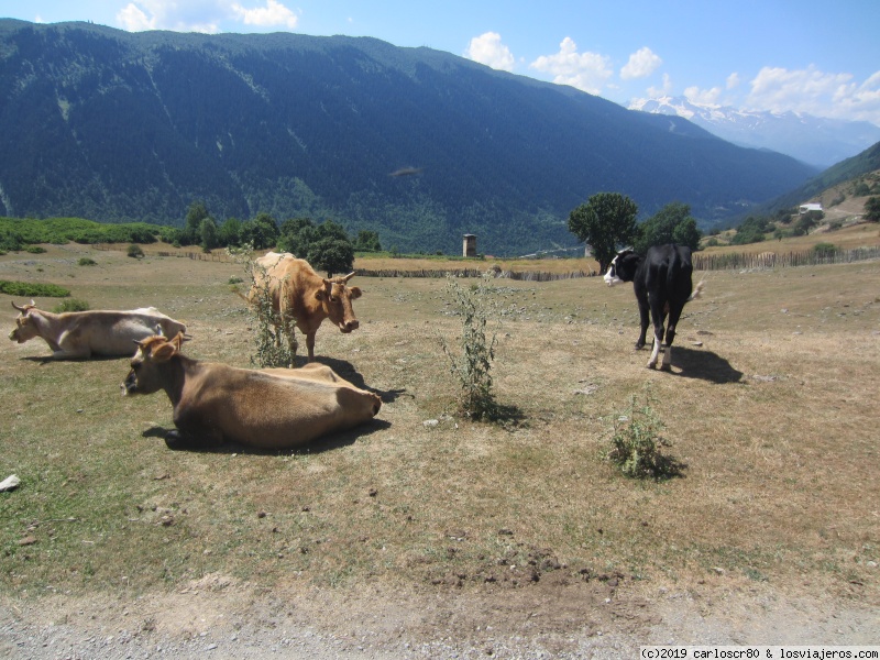 Una semana por Georgia. Mestia y Kutaisi - Blogs of Georgia - Día 2: Mestia – Zabeshi. (2)