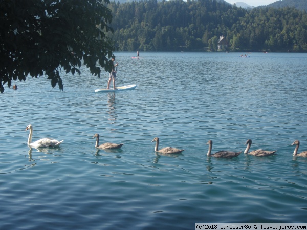 Lago Bled
Lago Bled
